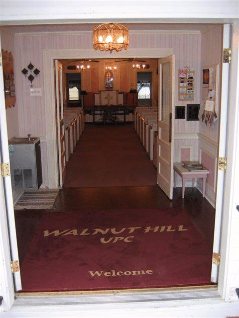 walnut hill logo rug